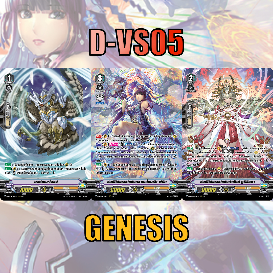 D-VS05