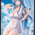 NIKKE NivelArena Sleeve Helm After Shower/ซองใส่การ์ด NivelArena ลาย เฮล์ม - ไอรักหลังอาบน้ำ